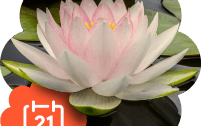 UK’s first National Annuity Day launched to help people secure retirement income